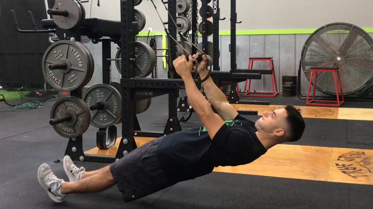 TRX Inverted Row