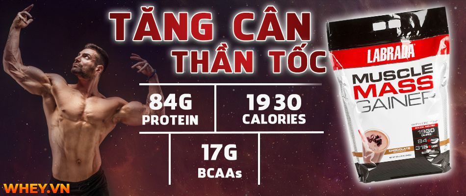 Hộp sữa Muscle Mass Gainer của Labrada.