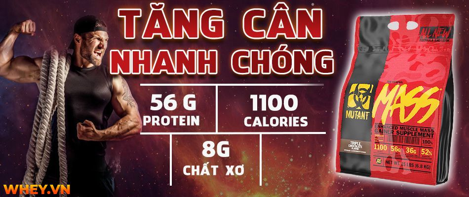 Đội ngũ CitiGym tại Phú Quốc