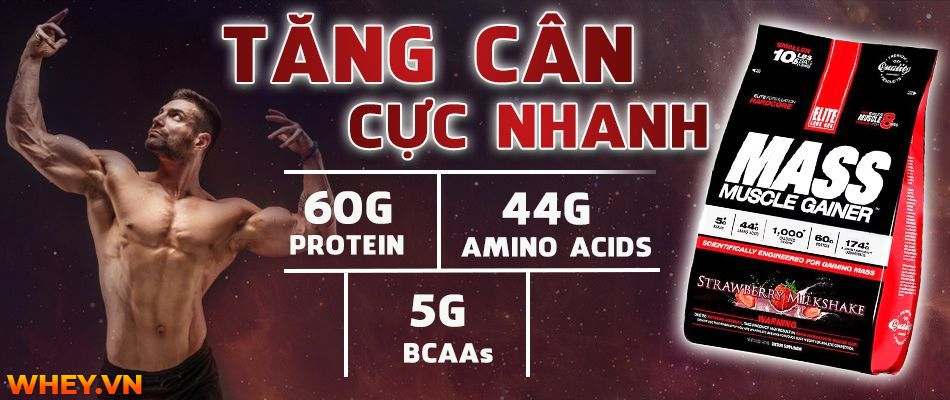 Mass Muscle Gainer, hỗ trợ tăng cân và phát triển cơ bắp.