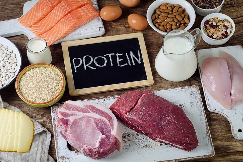 Nguồn protein cho người chơi cầu lông