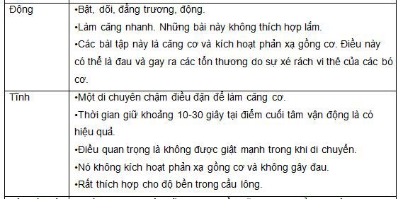 Bài tập giãn cơ động cho cầu lông